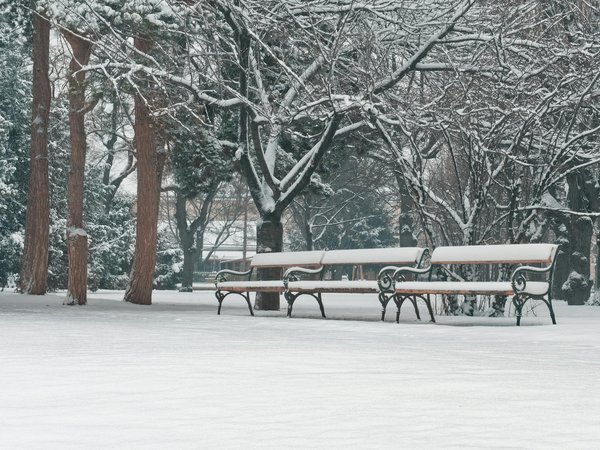 What Are the Potential Future Challenges for the UK Healthcare System?