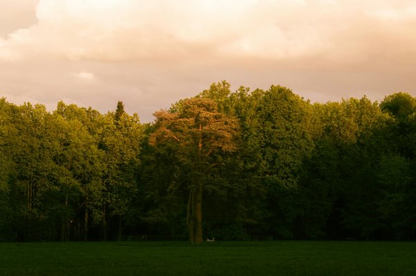 What Are the Unseen Challenges of Following Slimness Trends in the UK?